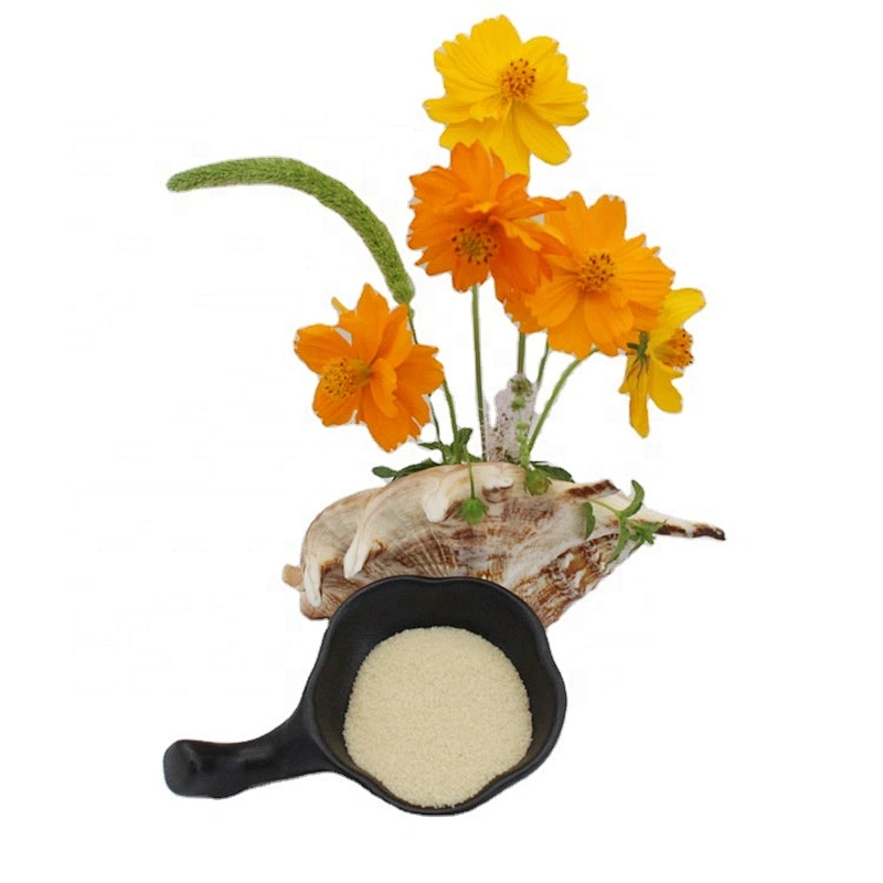 Halal Powder Bloom gelatin price gelatine with high quality 160bloom